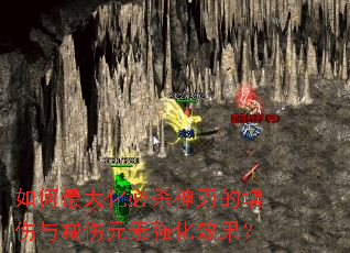 如何最大化必杀神刃的增伤与减伤元素强化效果? 如何最大化必杀神刃的增伤与减伤元素强化效果?