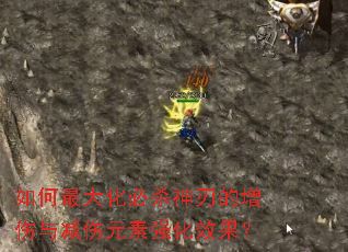 如何最大化必杀神刃的增伤与减伤元素强化效果? 如何最大化必杀神刃的增伤与减伤元素强化效果?