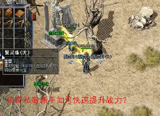 ����˽��������ο�������ս����