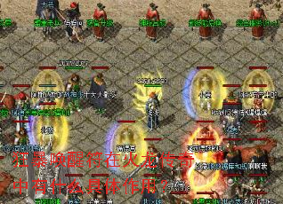 狂暴唤醒符在火龙传奇中有什么具体作用? 狂暴唤醒符在火龙传奇中有什么具体作用?