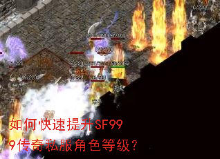 ��ο�������SF999����˽����ɫ�ȼ���