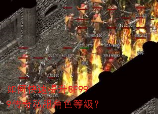 ��ο�������SF999����˽����ɫ�ȼ���