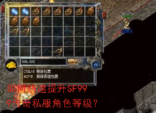 ��ο�������SF999����˽����ɫ�ȼ���