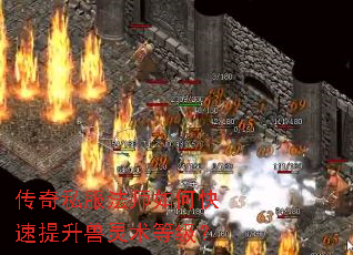 ����˽����ʦ��ο��������������ȼ���