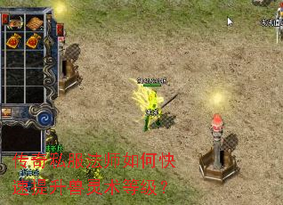 ����˽����ʦ��ο��������������ȼ���