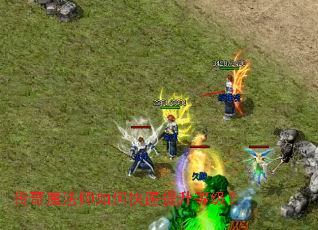 ����ħ��ʦ��ο��������ȼ���