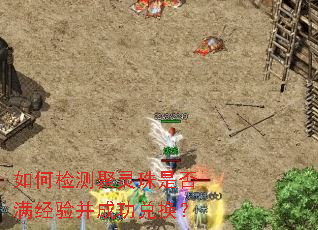 如何检测聚灵珠是否满经验并成功兑换? 如何检测聚灵珠是否满经验并成功兑换?