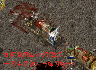 �������MaxM2��������������Ч������ϰ���գ�