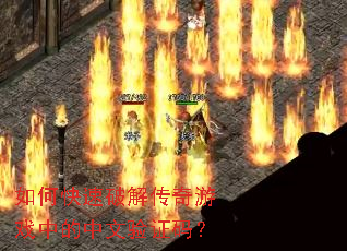 ��ο����ƽ⴫����Ϸ�е�������֤�룿