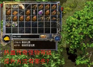 ��Ѫ�������ȼ�������������Щ��