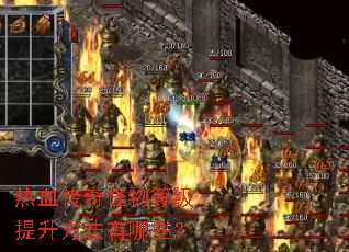 ��Ѫ�������ȼ�������������Щ��