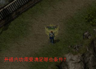 开通内功需要满足哪些条件? 开通内功需要满足哪些条件?