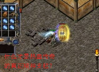 ʲô������Ѫ�������������֧����