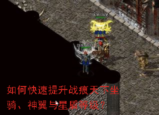 ��ο�������ս����������������Ƕܵȼ���