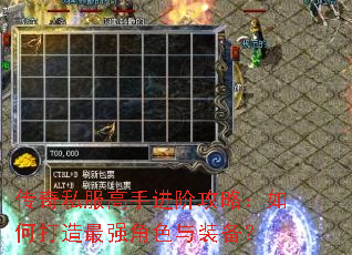 ����˽�����ֽ��׹��ԣ���δ�����ǿ��ɫ��װ����