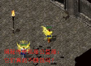 揭秘传奇私服公益服:它们真的不赚钱吗? 揭秘传奇私服公益服:它们真的不赚钱吗?