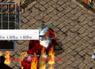 ��ʦ��ο������������ȼ���