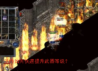 ��ʦ��ο������������ȼ���