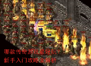 �Ŀ����Ϸ����棿�������Ź���ȫ����