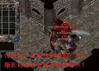 ����������ο������𣿴ӿ������ưԵı�ʤ��������Щ��