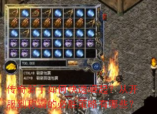 ����������ο������𣿴ӿ������ưԵı�ʤ��������Щ��