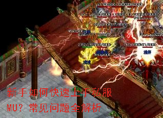 ������ο�������˽��MU����������ȫ����