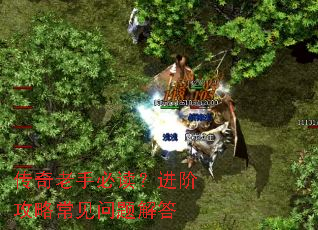 �������ֱض������׹��Գ���������