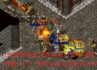 185Ӣ�ۺϻ�����˽��sf������ο������ţ������Ӳ���ɳ�Ϊ���֣�