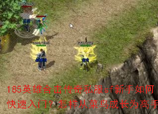 185Ӣ�ۺϻ�����˽��sf������ο������ţ������Ӳ���ɳ�Ϊ���֣�