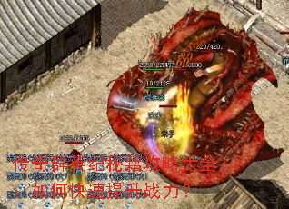 ����ȺӢ���ؼ����Դ�ȫ����ο�������ս����