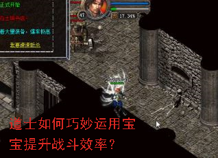 ��ʿ����������ñ�������ս��Ч�ʣ�