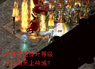 ��ο��������ȼ����ư���������