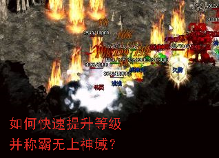 ��ο��������ȼ����ư���������