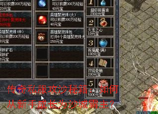 ����˽����ɳ�ؼ�����δ����ֳɳ�Ϊɳ�ǰ�����