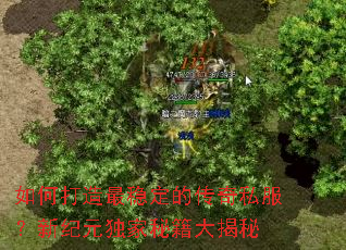 如何打造最稳定的传奇私服?新纪元独家秘籍大揭秘 如何打造最稳定的传奇私服?新纪元独家秘籍大揭秘