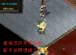 ��ǿ��ʦ����ָ�ϣ�������ο������֣�