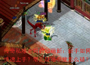 ����˽����˾��VS���£�������ο������֣�����������֢��ô�ƣ�