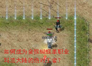 ��γ�Ϊ��������ְҵ�귨��½�ľ������ߣ�