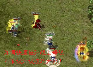 ��ο�������սʿ�ȼ��������������ɴ󹫿�