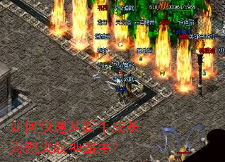 ��ο��ٴ����ֳɳ�Ϊ�һ�ս�������