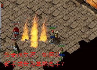 ����PK���ģ���δ����ֳɳ�Ϊ�������֣�