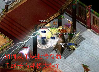 如何从单职业传奇新手成长为终极大神? 如何从单职业传奇新手成长为终极大神?