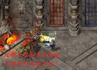 如何从单职业传奇新手成长为终极大神? 如何从单职业传奇新手成长为终极大神?