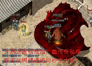 开局送透视戒指?血传奇私服新手如何快速进阶秒变大佬? 开局送透视戒指?血传奇私服新手如何快速进阶秒变大佬?