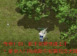 ����1.80��������ο������֣���ȫ����ָ������ư��귨��½