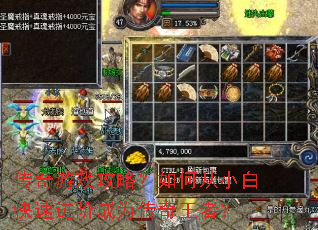 ������Ϸ���ԣ���δ�С�׿��ٽ��׳�Ϊ�������ߣ�