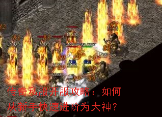 ����˽���������ԣ���δ����ֿ��ٽ���Ϊ����