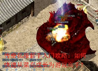 ����˽���������Ź��ԣ���ο��ٴӲ���ɳ�Ϊ��Ϸ���֣�