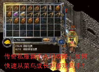 ����˽���������Ź��ԣ���ο��ٴӲ���ɳ�Ϊ��Ϸ���֣�