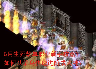 8�������ٵ�ְҵ���ֹ��ԣ���δӲ�����ٽ��׳ɴ���